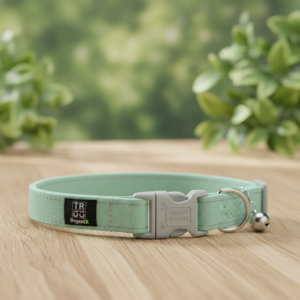 Adjustable Cat Collar with Breakaway Safety Buckle